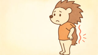 側彎症に悩むハリーちゃん