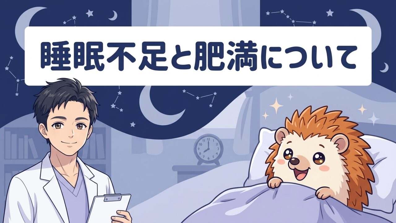 睡眠不足と肥満について