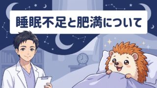 睡眠不足と肥満について