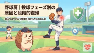 野球肩|投球フェーズ別の原因と段階的復帰|館山市はりきゅう整体院 和からだみなおし処