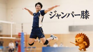 ジャンパー膝（膝蓋腱炎）｜ジャンプ動作で膝下が痛む方へ｜館山市はりきゅう整体院 和からだみなおし処