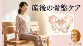 産後の骨盤ケア｜骨盤の不安定さと骨盤底筋の活性化｜館山市はりきゅう整体院 和からだみなおし処