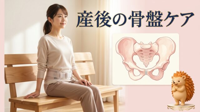 産後の骨盤ケア｜骨盤の不安定さと骨盤底筋の活性化｜館山市はりきゅう整体院 和からだみなおし処